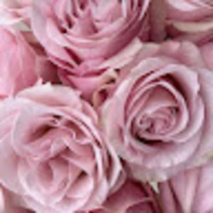 Meet your Posher, Vivre